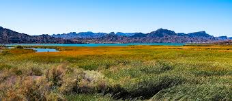 Ahakav Tribal Preserve Logo