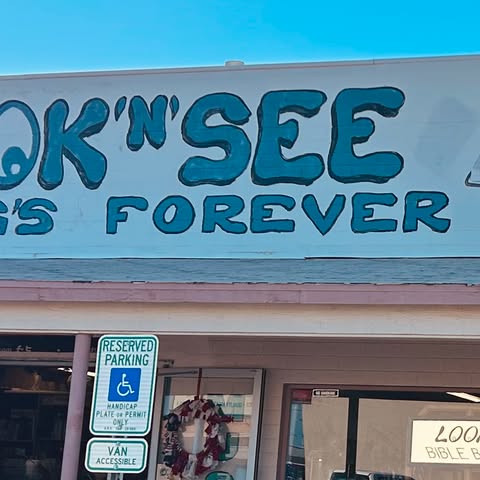 Look 'N' See Things Forever Logo