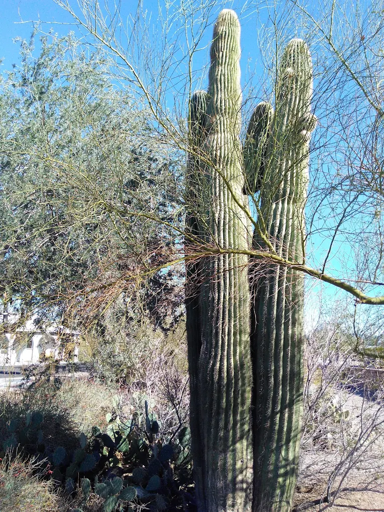 Snobird RV Park Logo